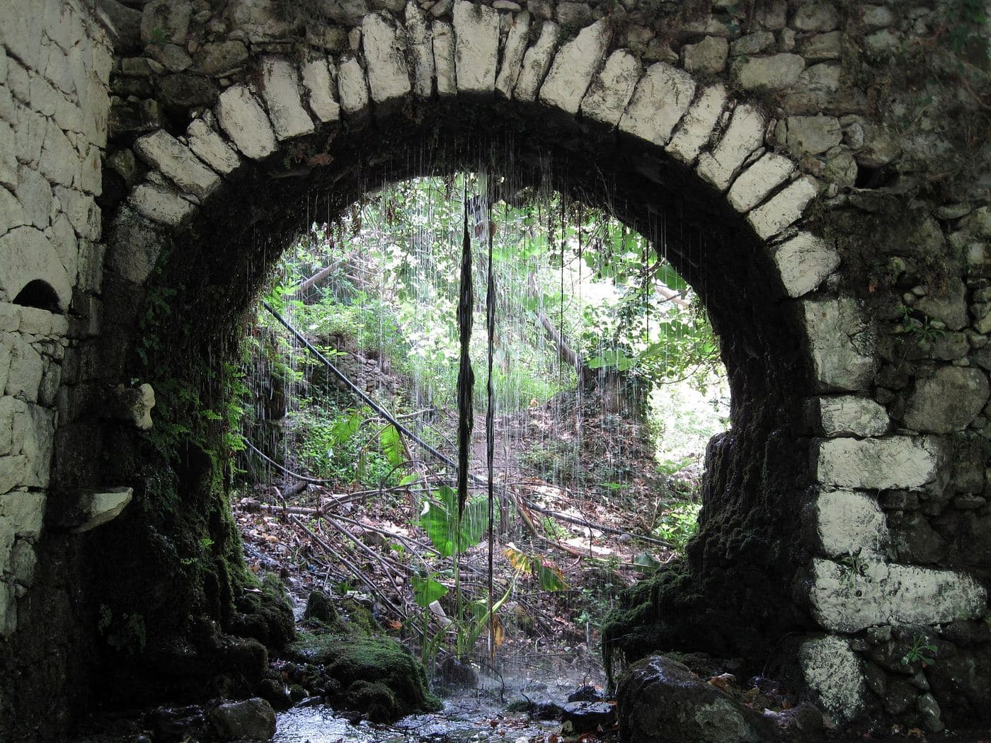 River Mouselas 2