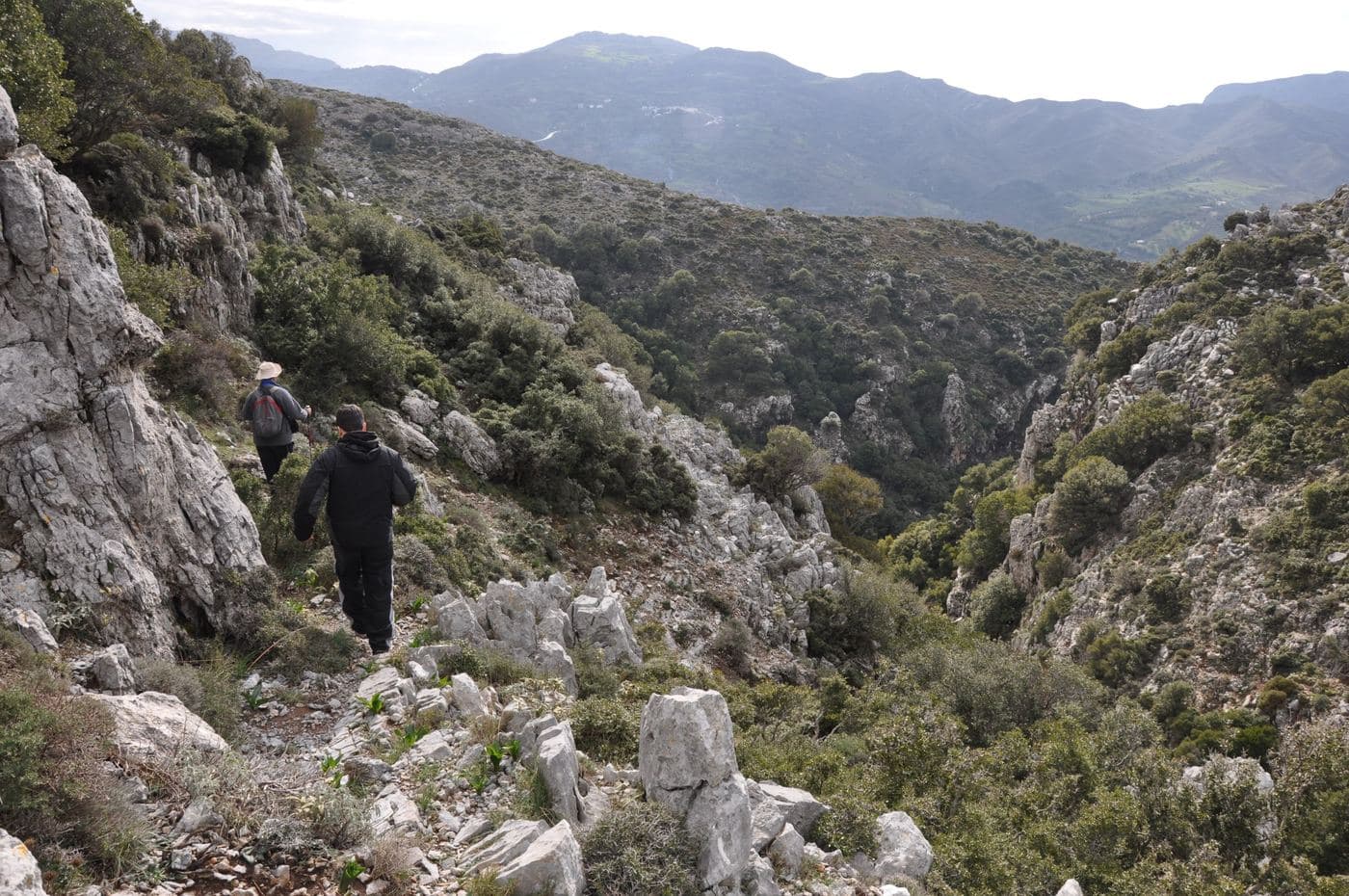 Agia Fotia Gorge 2