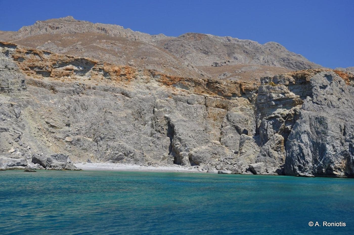 Agios Antonios palm grove 2