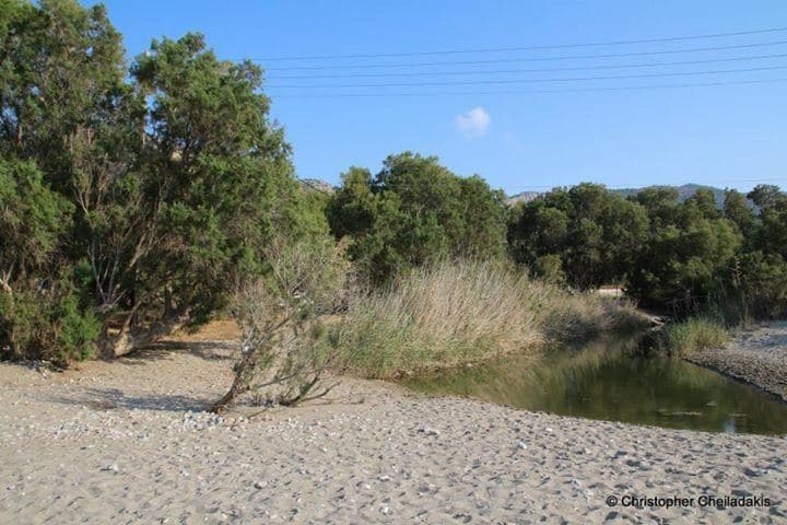 Agios Panteleimon beach at Istron 3