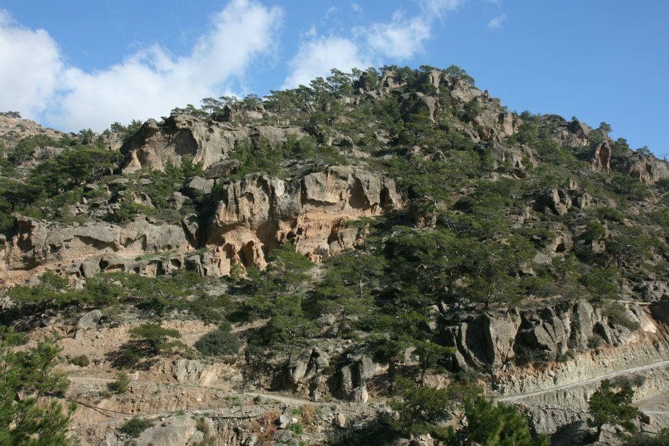 Ahlia Gorge 2