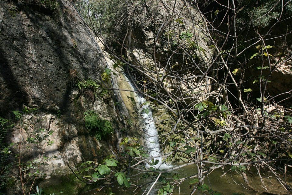 Ahlia Gorge 3