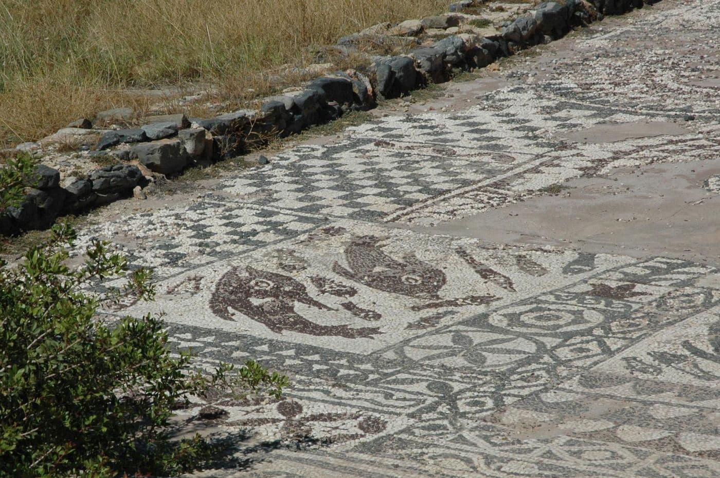 Ancient Olous 2
