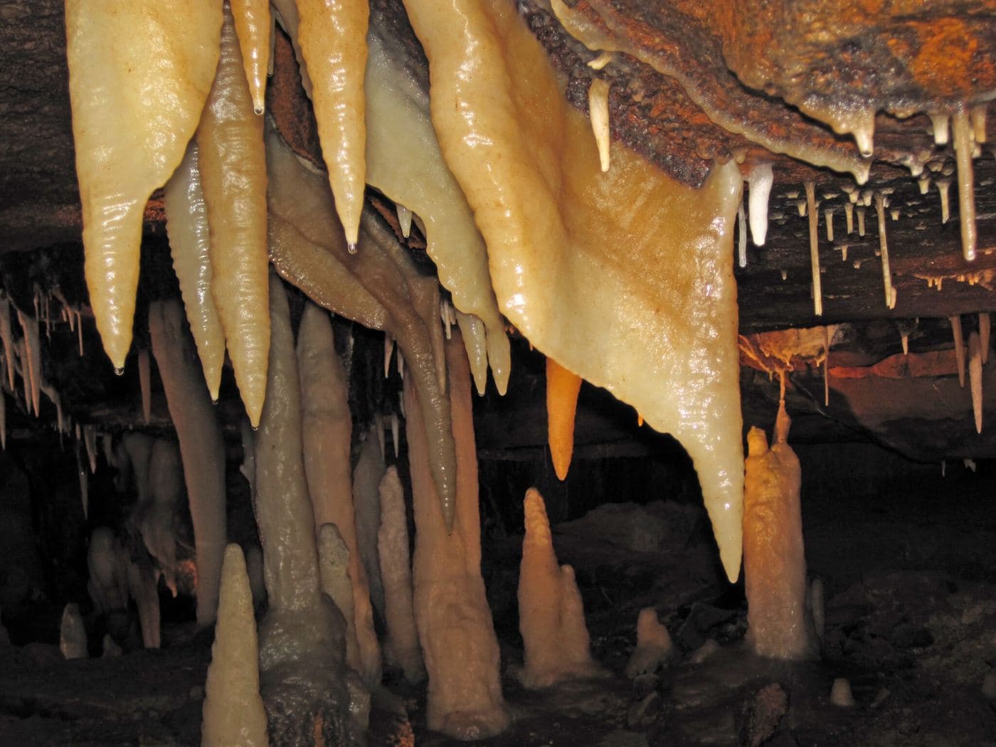 Anonym Cave, Tylissos