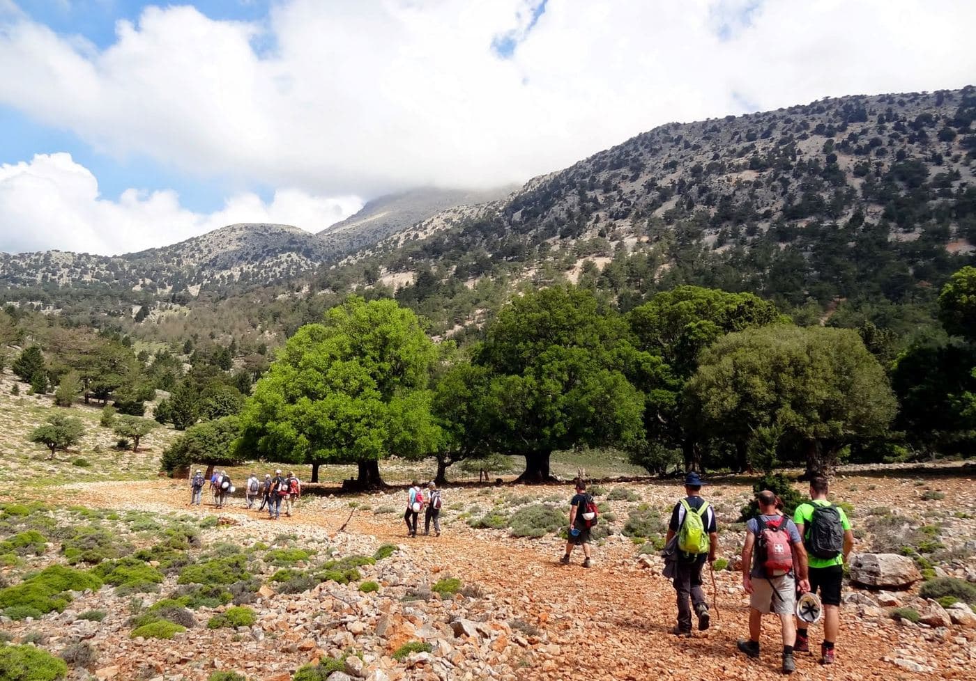Anopolis Plateau at Sfakia 3