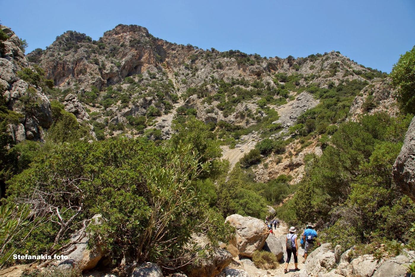 Anydri Gorge 3