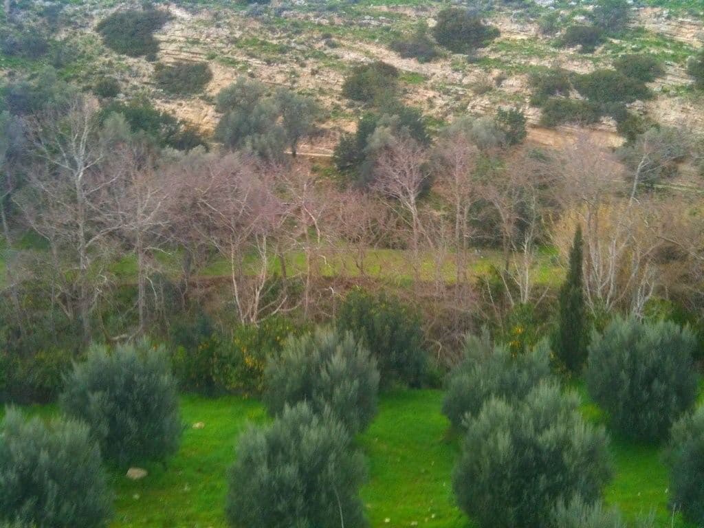 Apolychnos gorge 2