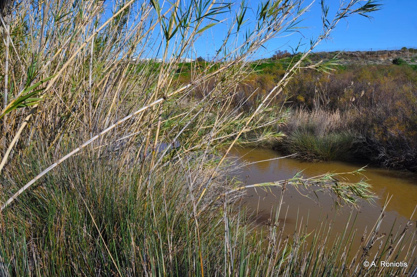 Aposelemis River