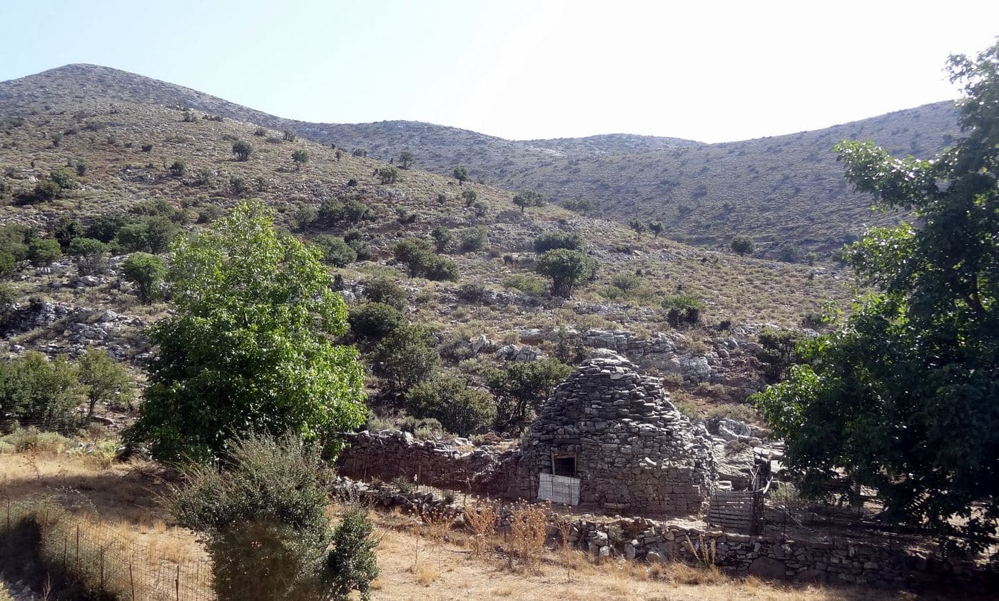 Aravanes Wood