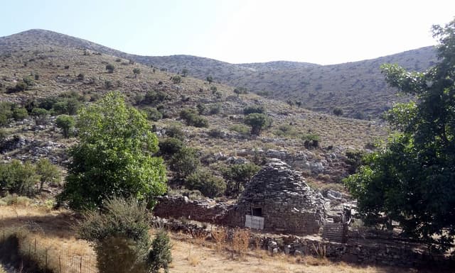 Aravanes Wood
