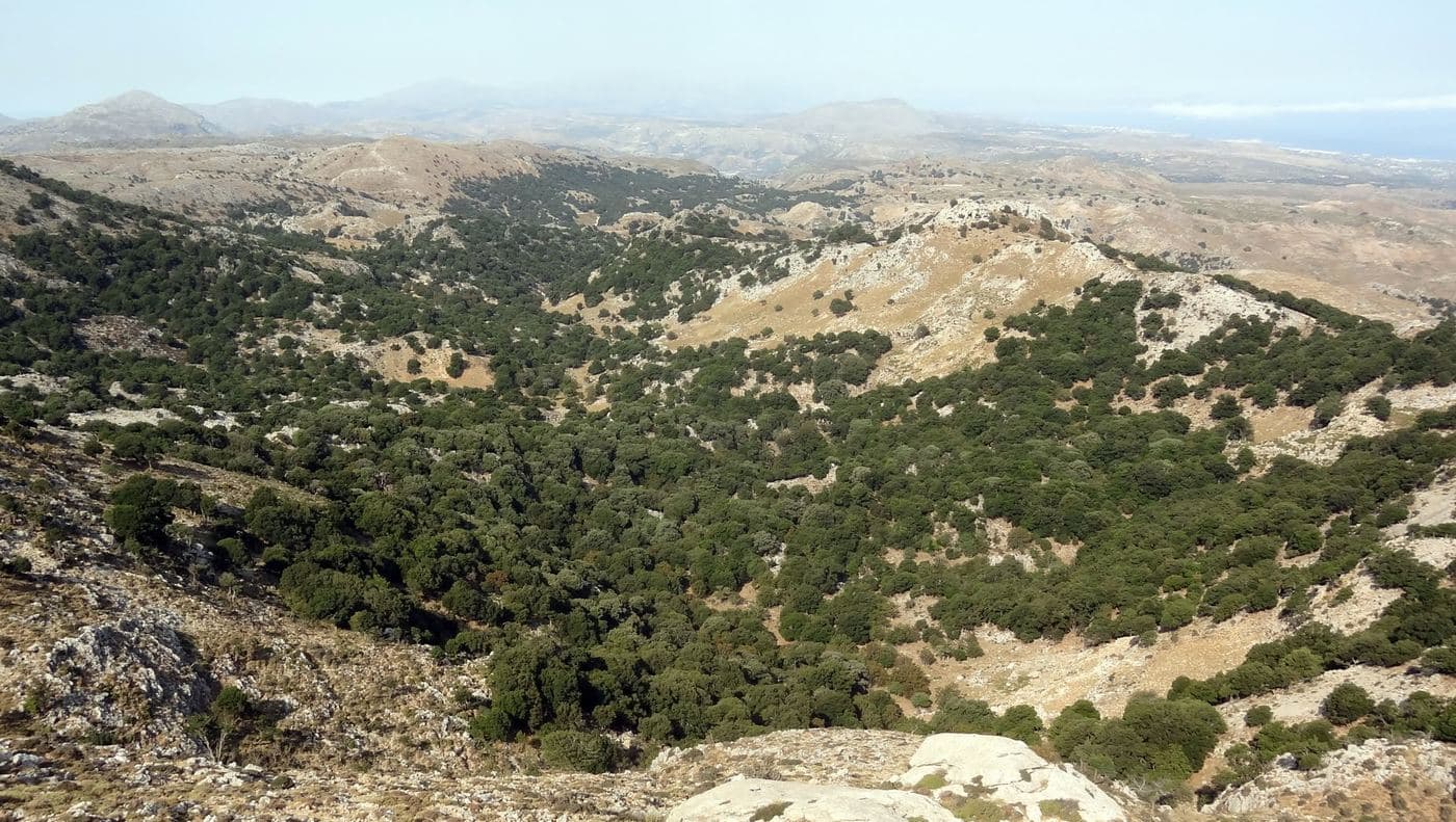 Aravanes Wood 3
