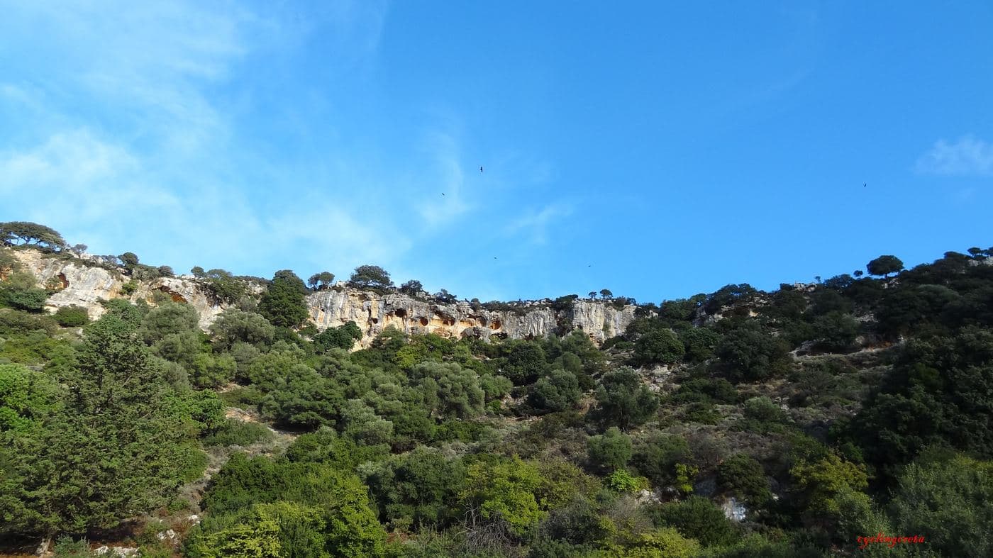 Arkadi Gorge 3
