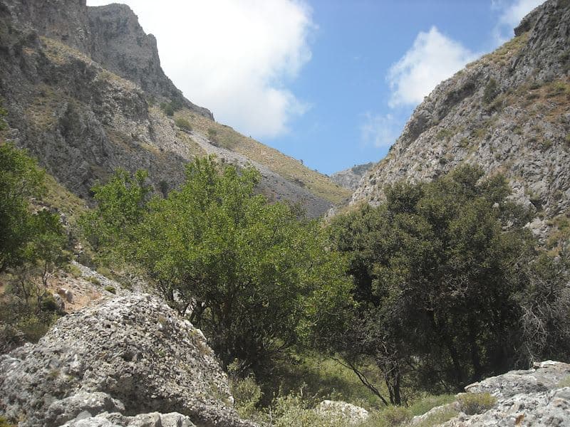 Asfendou Gorge 2