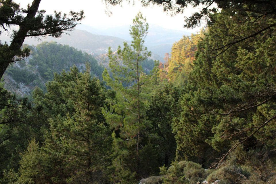 Askidia Gorge
