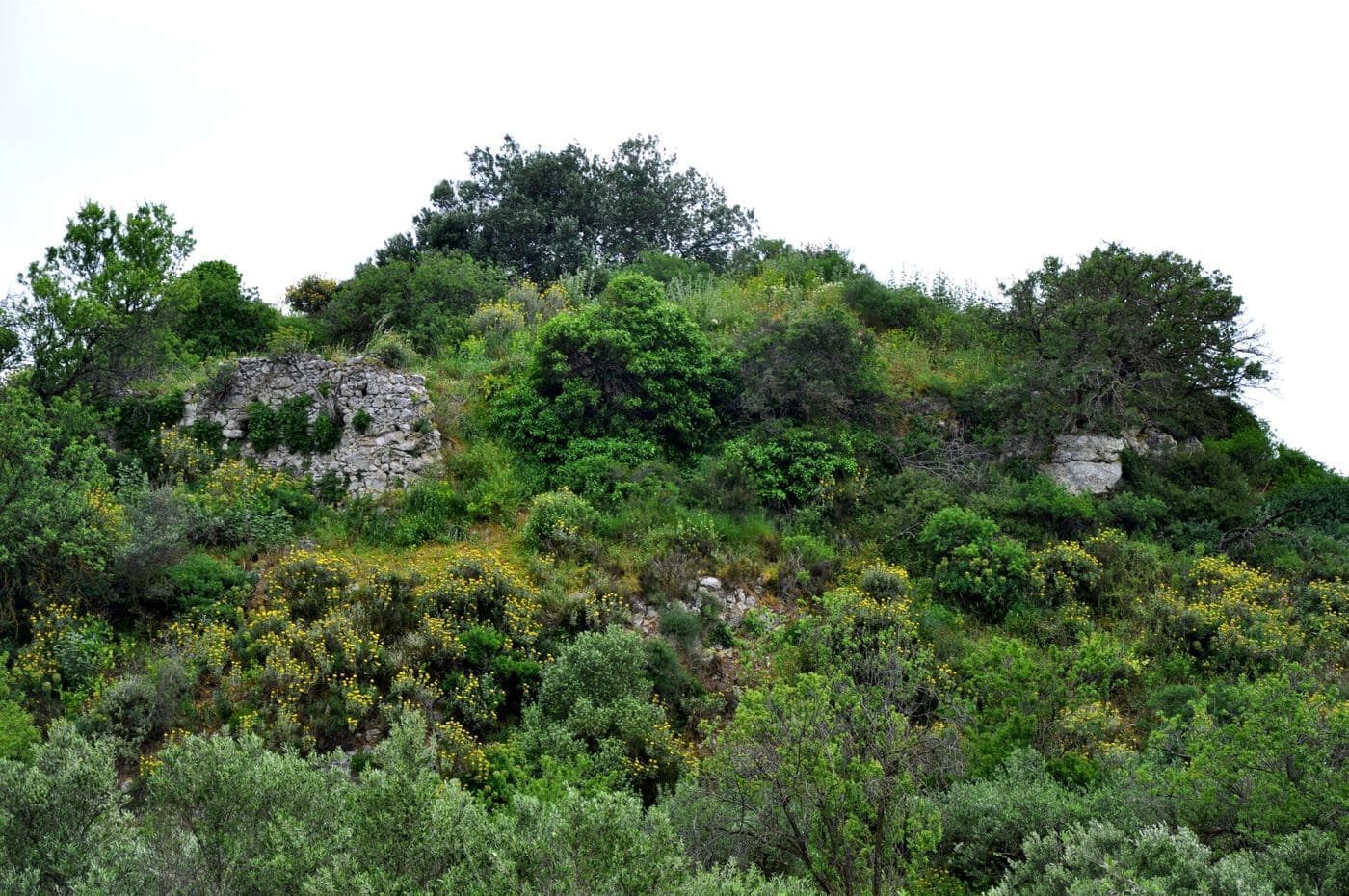 Castel di Beto (Melesses Fort) 2