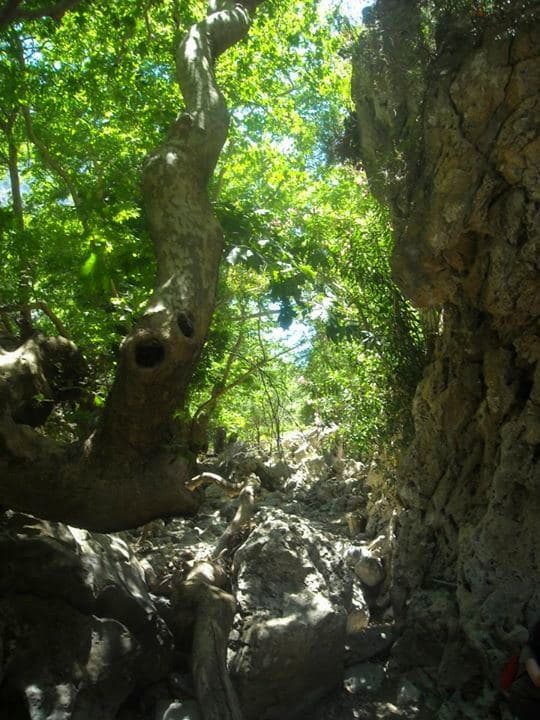 Chalase Gorge at Sassalos 3