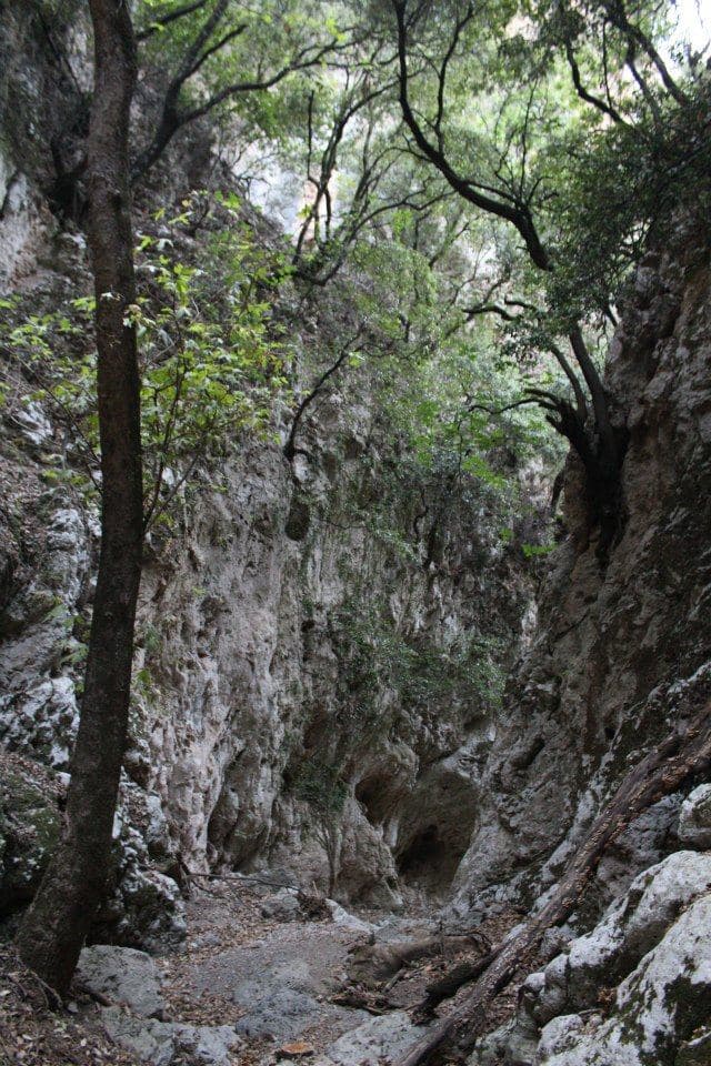 Chosti Gorge 2