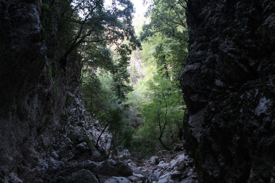 Chosti Gorge 3