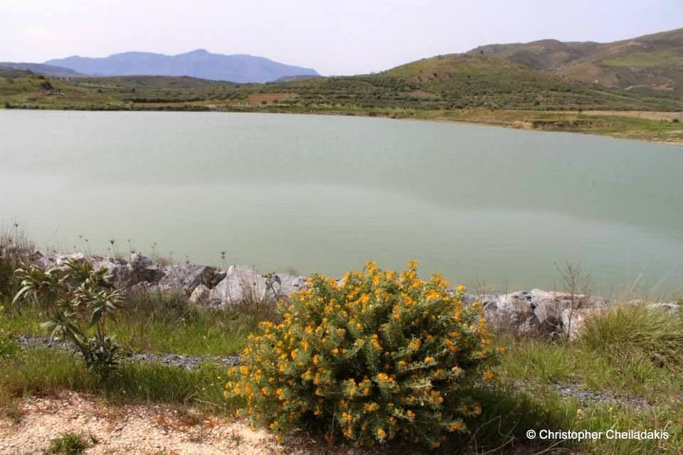 Damania Dam Lake 2
