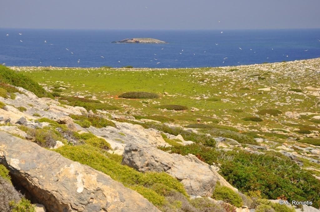 Dia island 3