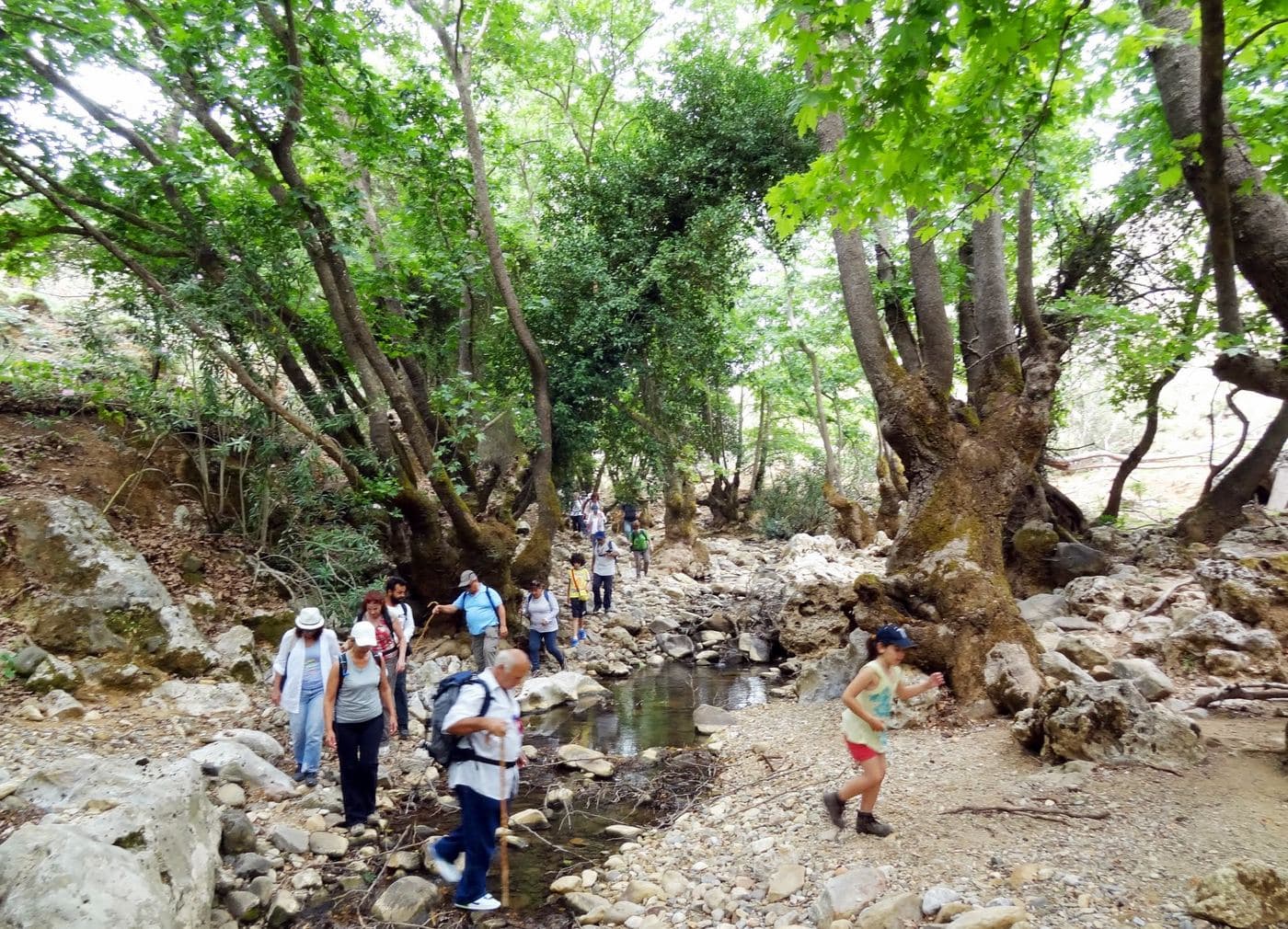 Diktamos Gorge 2