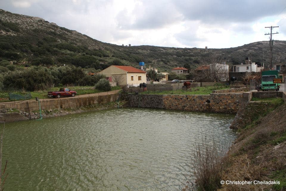 Dories Pond 2