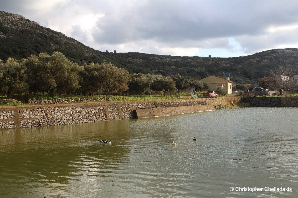 Dories Pond 3