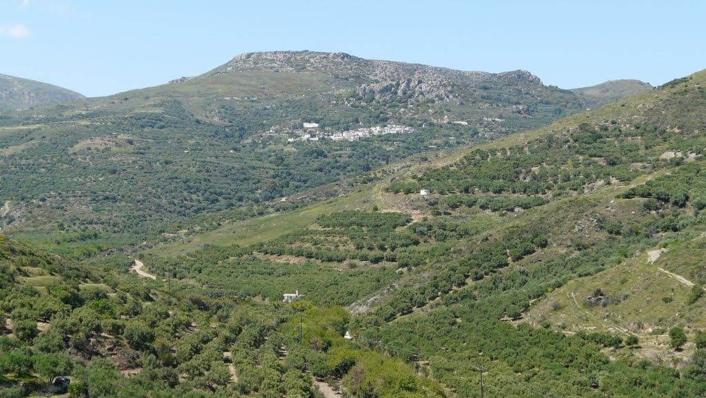 Trail Dafni - Vori - Chandras - Ziros