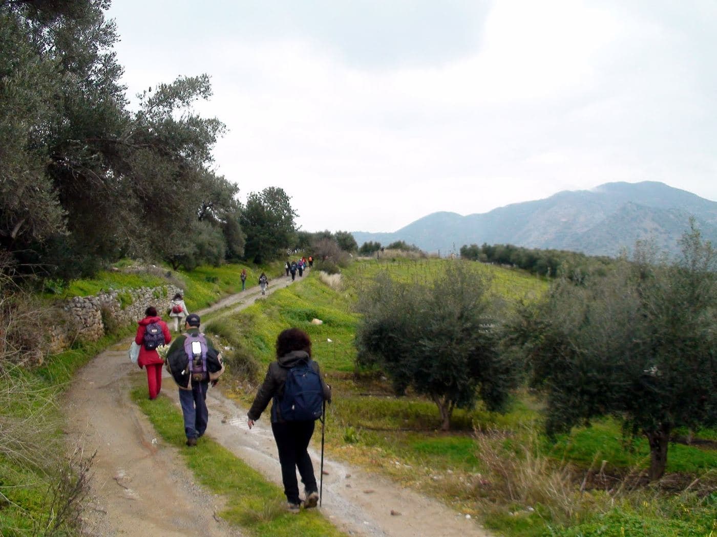 Trail Houmeri - Garazo 2