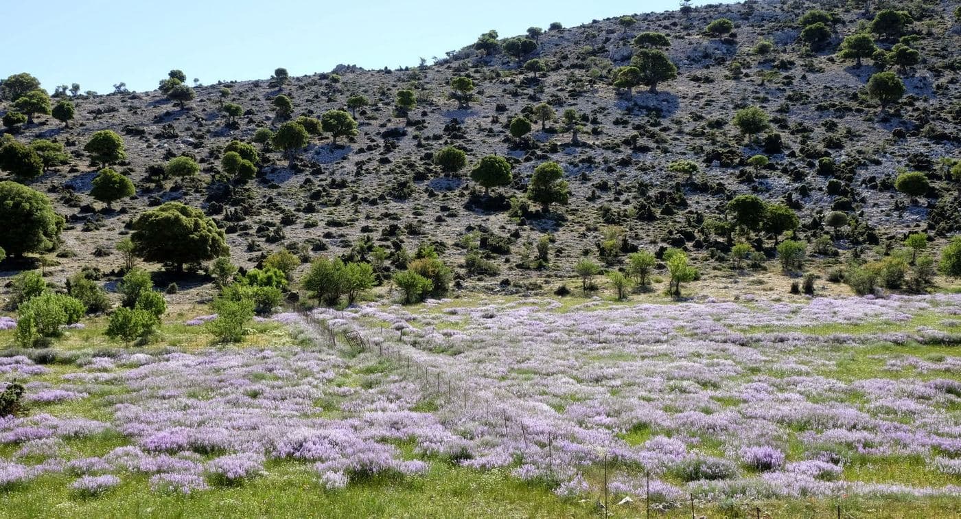 Trail Katharo Plateau - Selakano 2