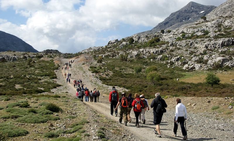 Trail Nida - Rouvas Wood
