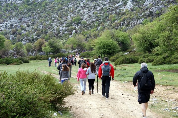 Trail Nida - Rouvas Wood 2