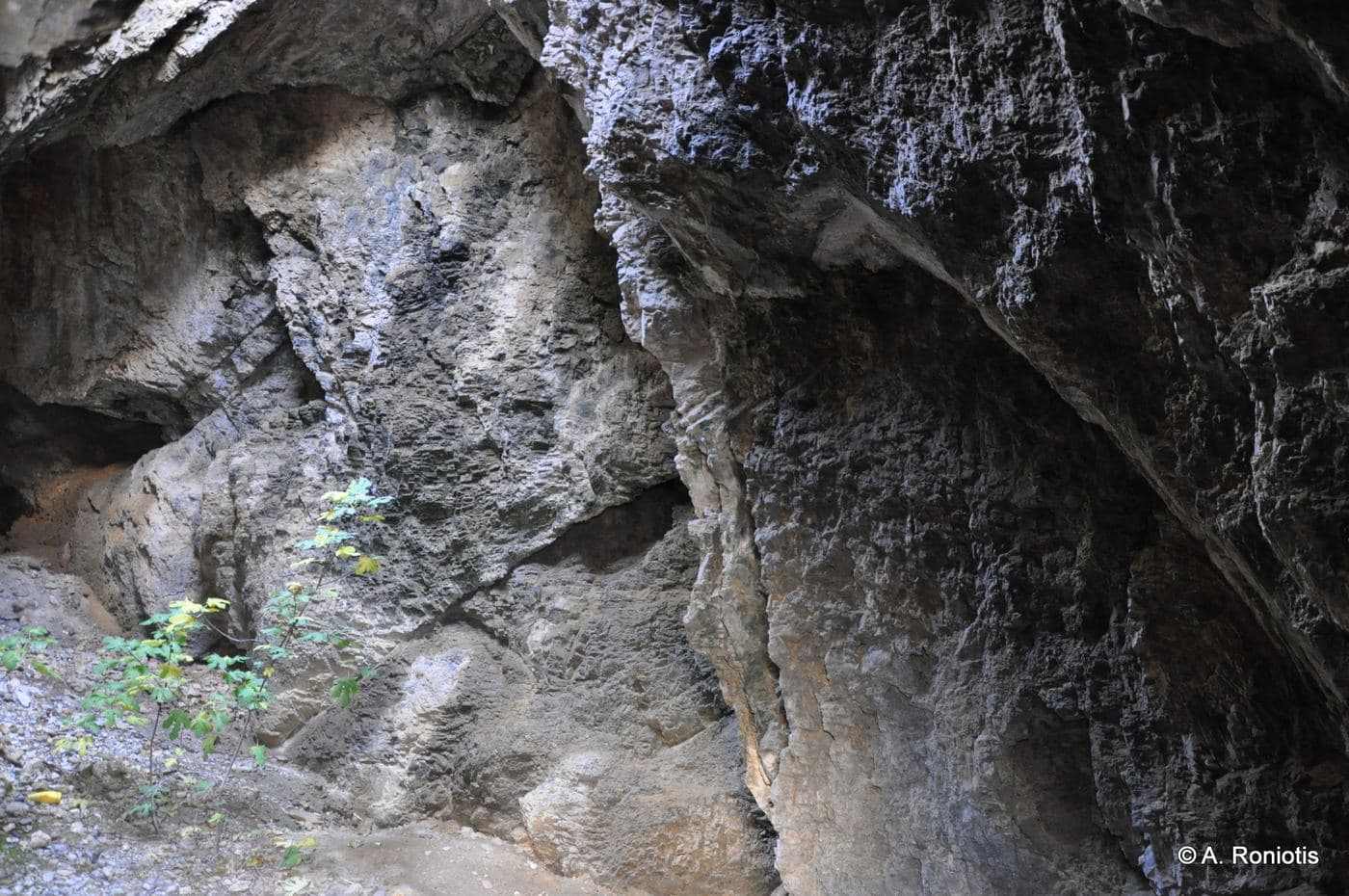 Eileithyia Cave in Tsoutsouras 3