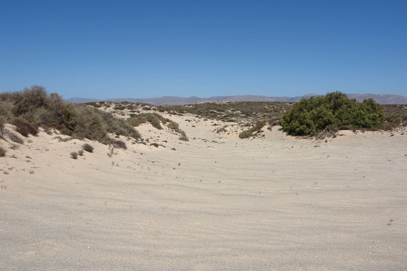 Elia Desert 2
