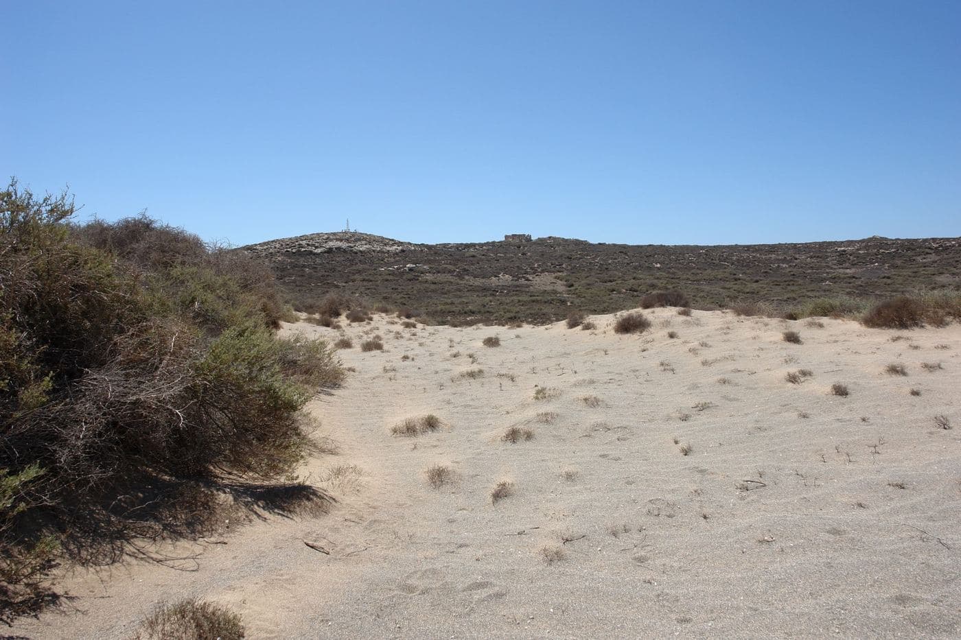 Elia Desert 3