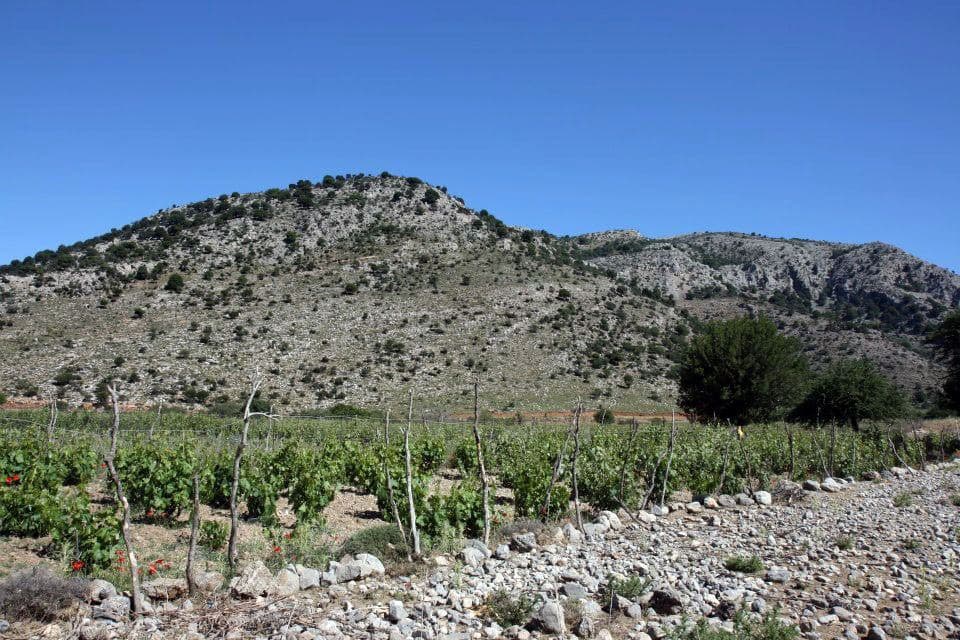 Erganos Plateau
