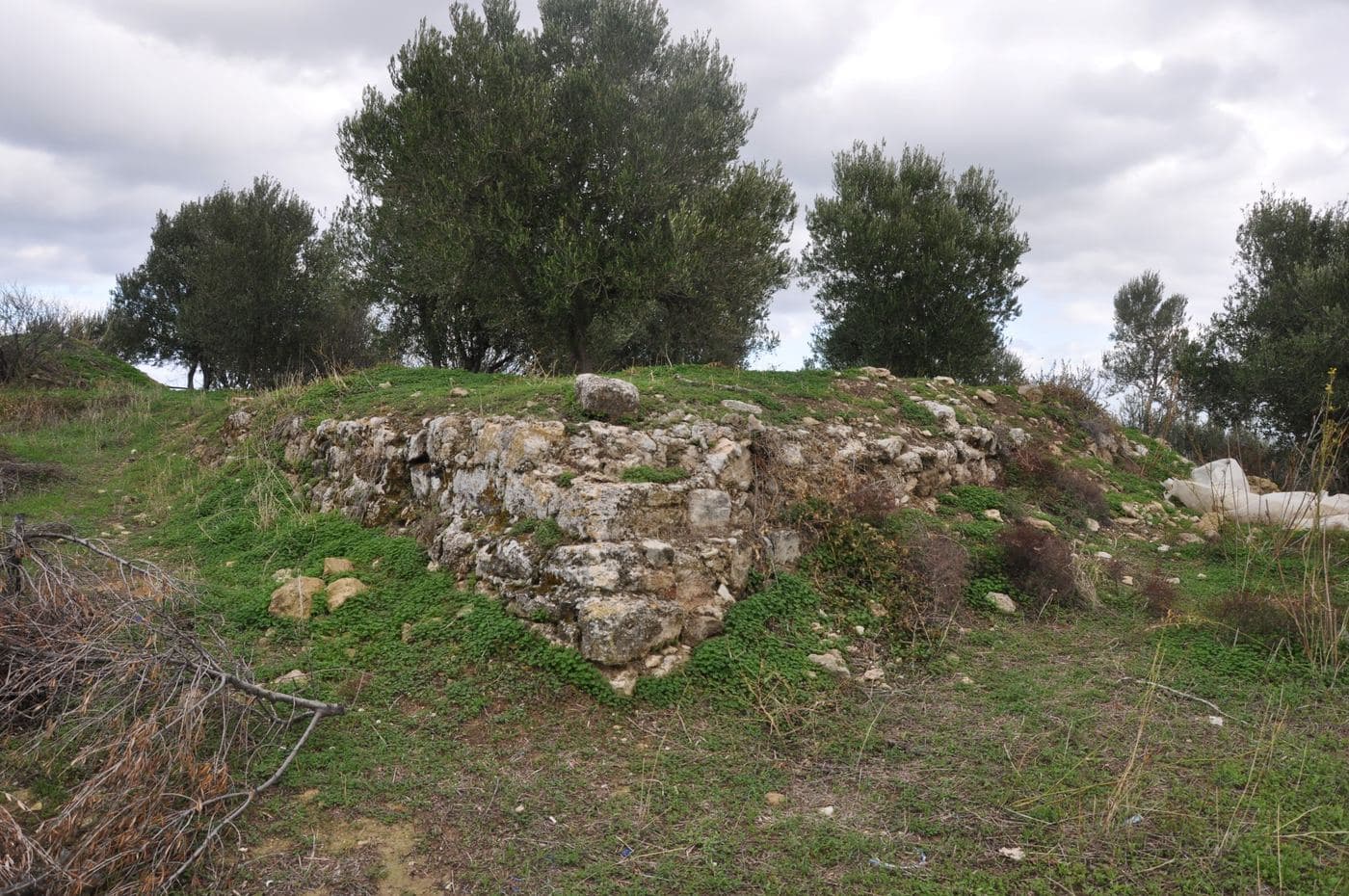 Castel Malvicino (Malevizi Fort) 2