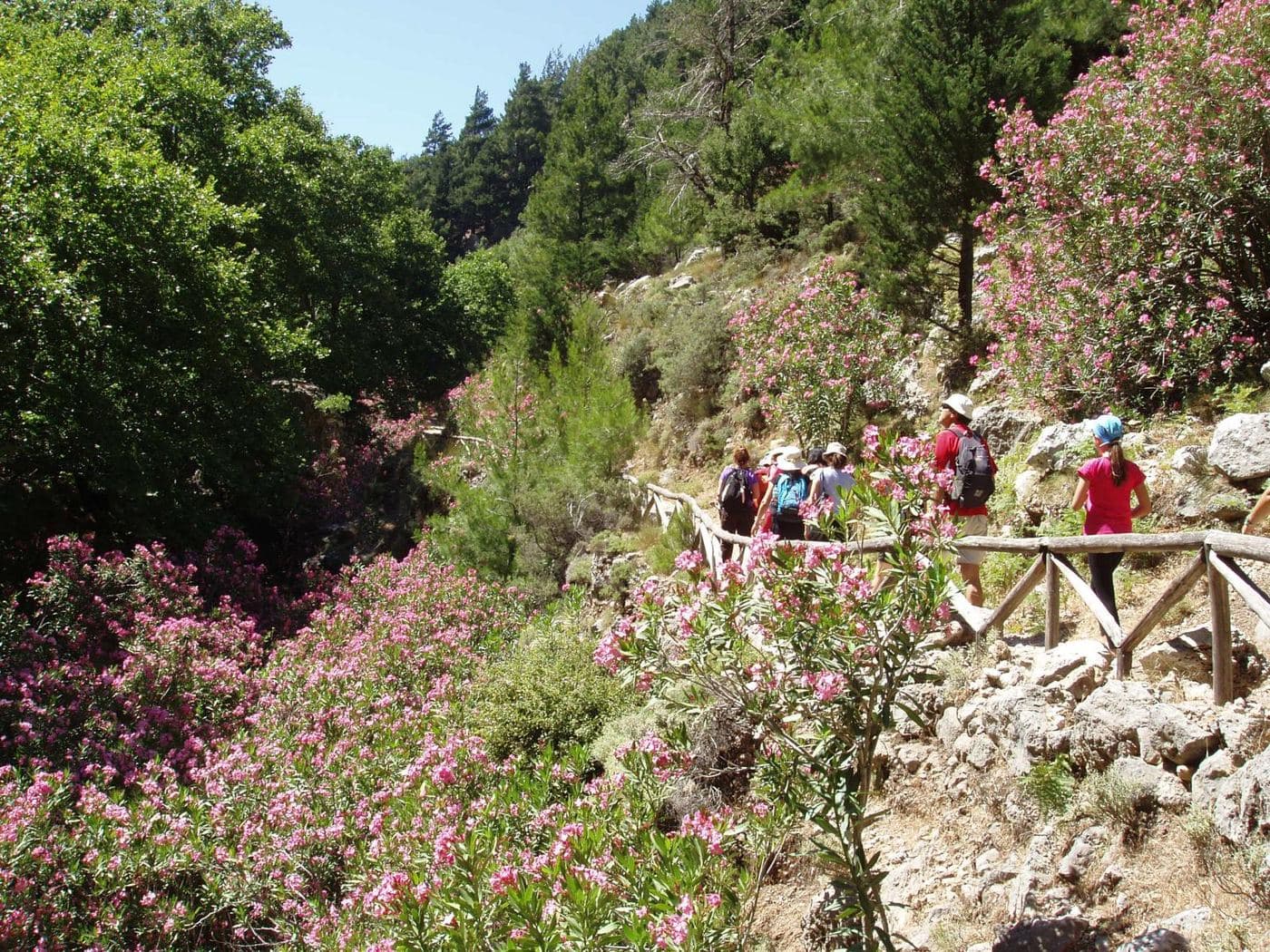 Fygou Gorge 2