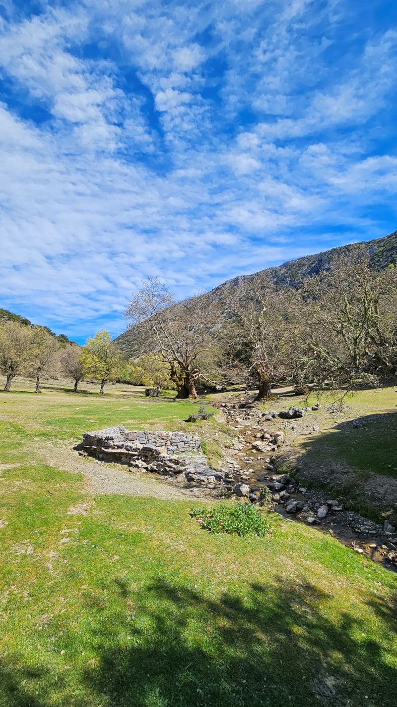 Rouvas Wood and Gorge 2