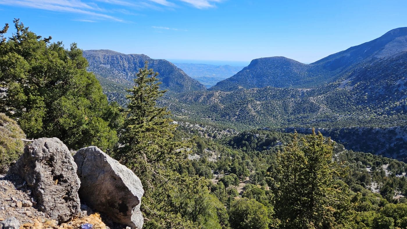 Rouvas Wood and Gorge 3