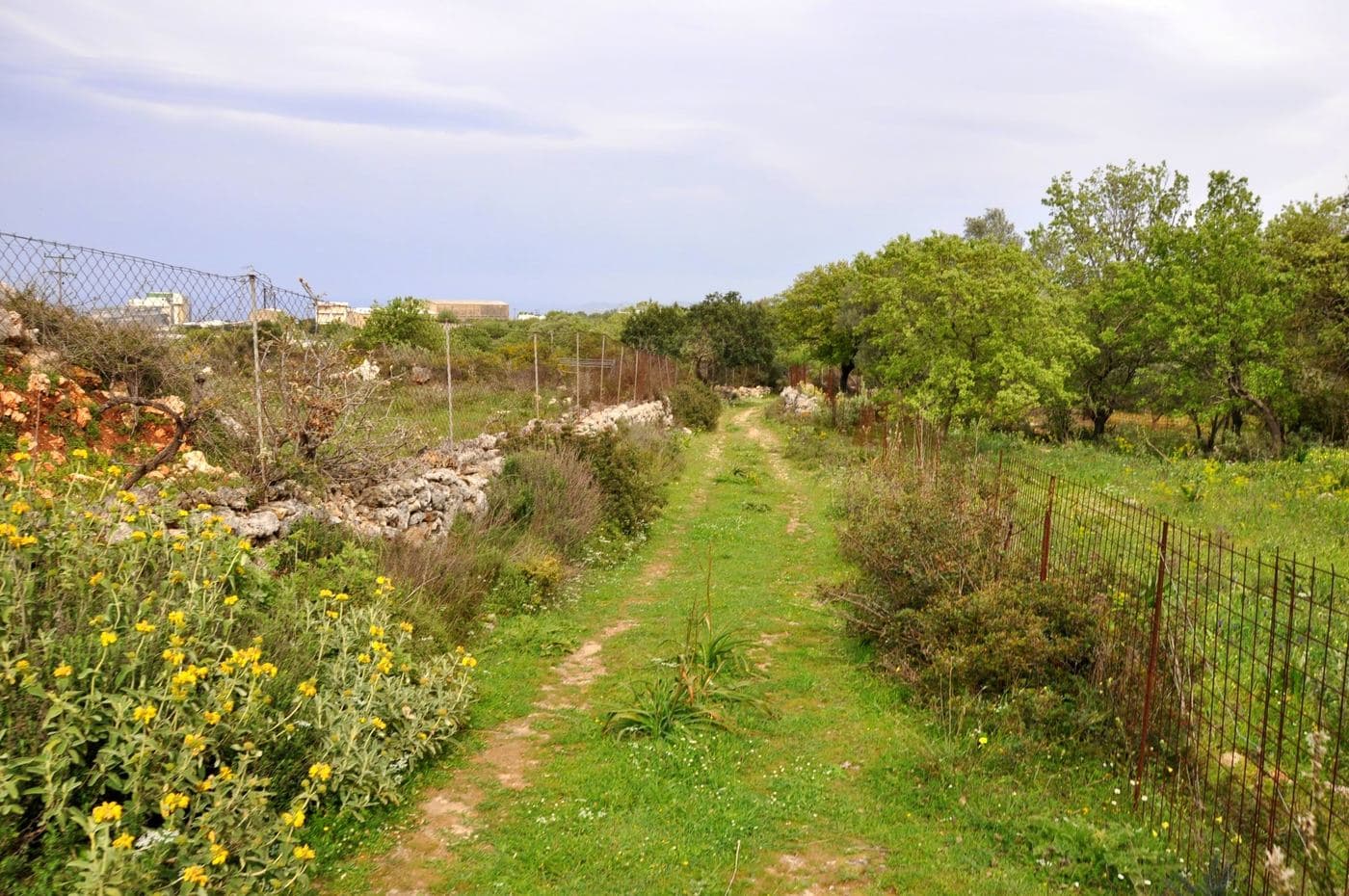 Gallos Gorge