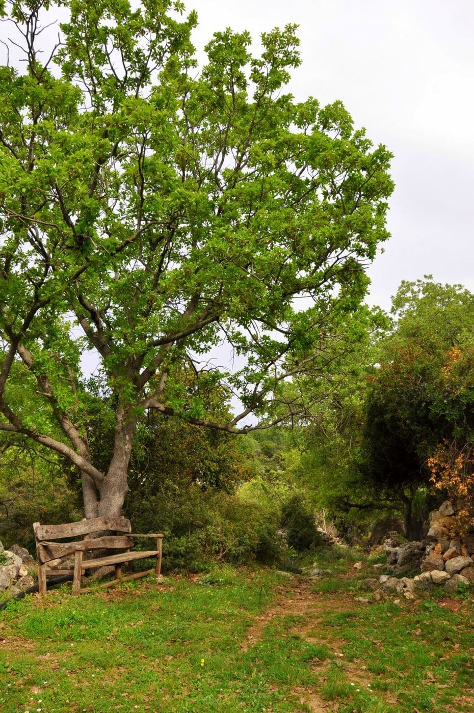 Gallos Gorge 2