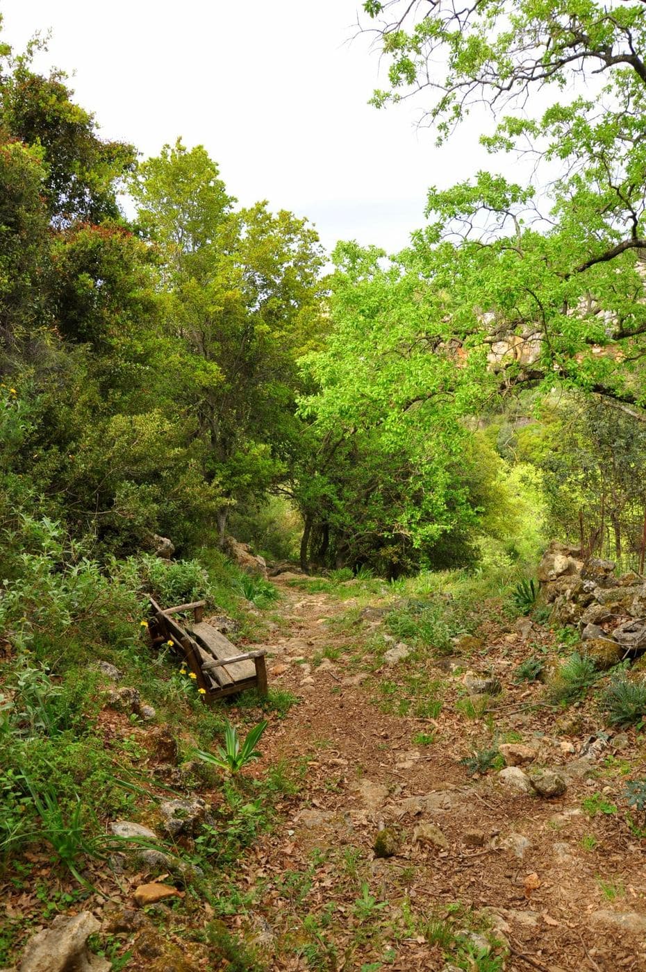 Gallos Gorge 3
