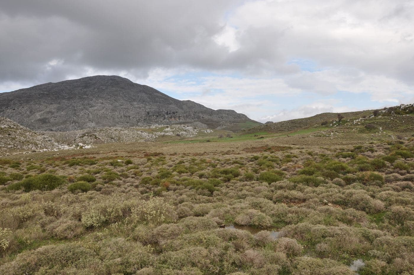 Gious Kambos Plateau