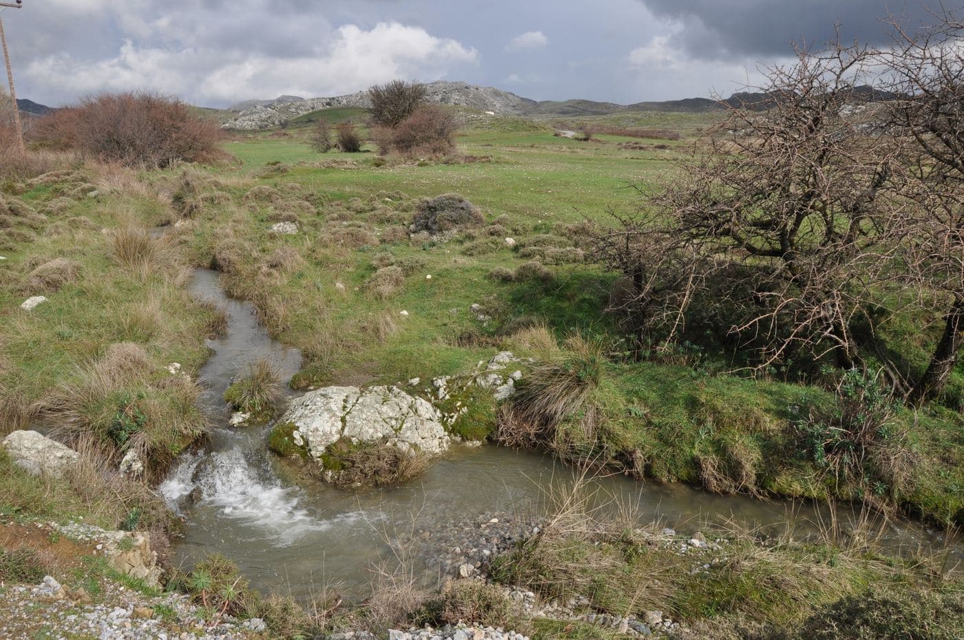 Gious Kambos Plateau 3