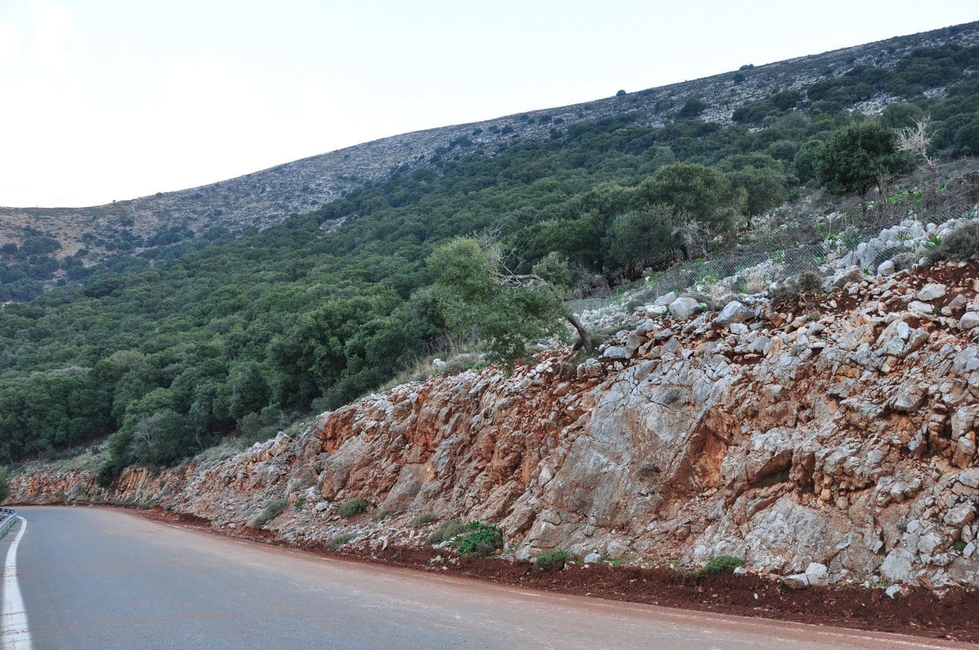 Hamoprina Wood at Malia