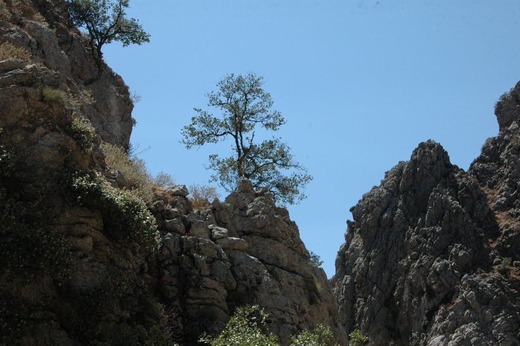 Kallikratis Gorge 2
