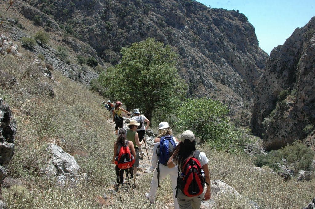 Kallikratis Gorge 3
