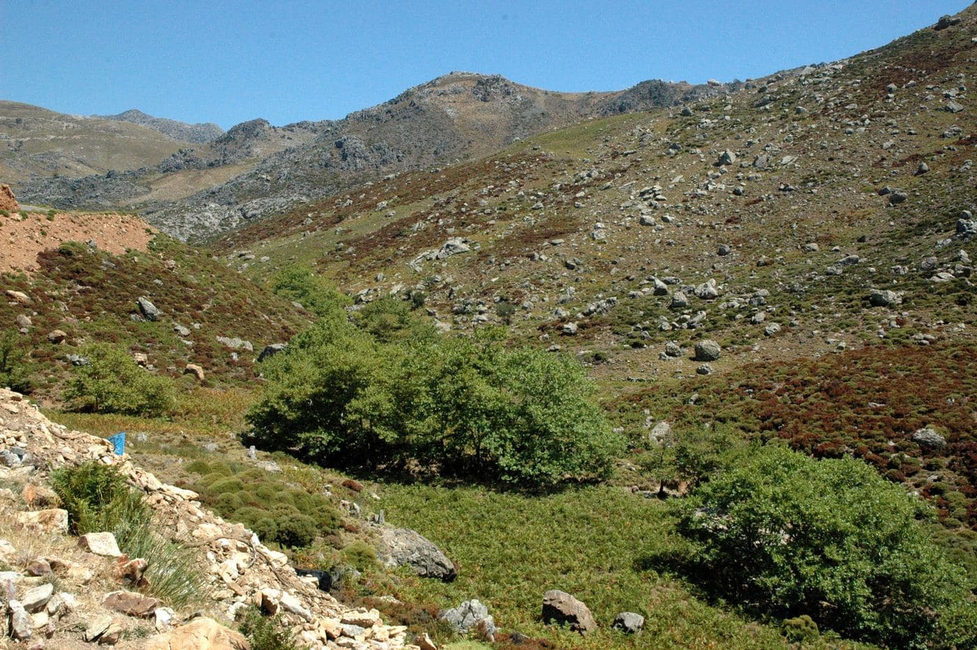 Kallikratis Plateau