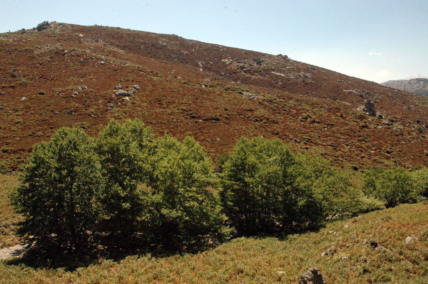 Kallikratis Plateau 2